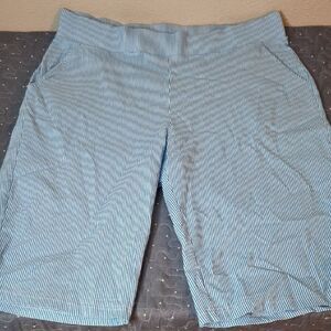 Donna Moore Blue Striped Shorts size 1X